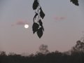 2009-11_02 Moon Shot